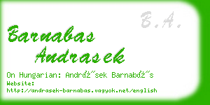 barnabas andrasek business card